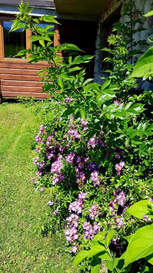 Villa Antonowka Trybsz Esterno foto
