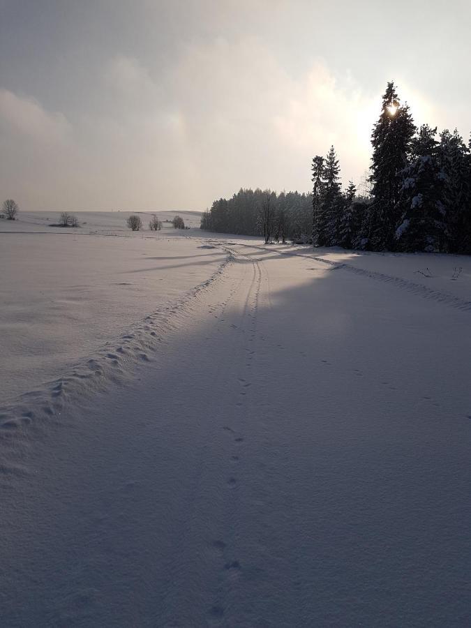 Villa Antonowka Trybsz Esterno foto